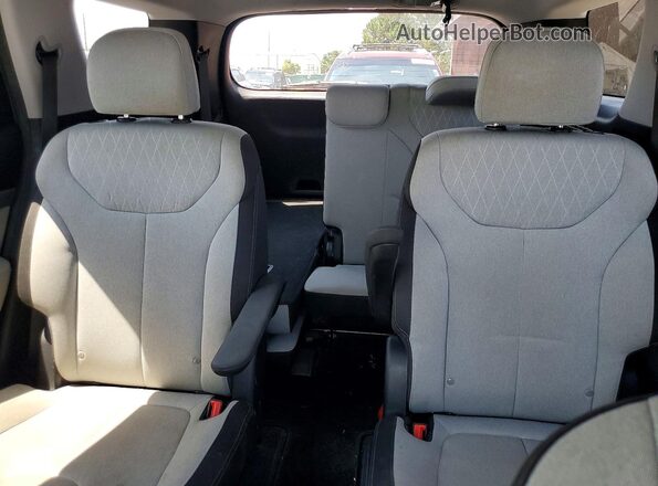 KM8R2DHEXLU068940 2020 HYUNDAI PALISADE Серый Вид задних сидений