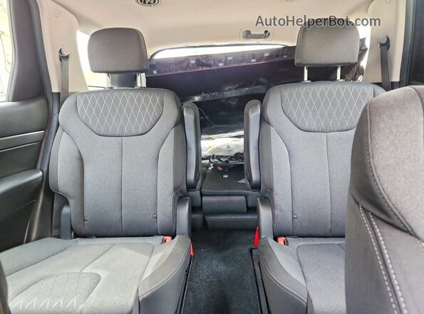 KM8R2DHEXLU152286 2020 HYUNDAI PALISADE Burgundy Հետևի նստատեղերի տեսք