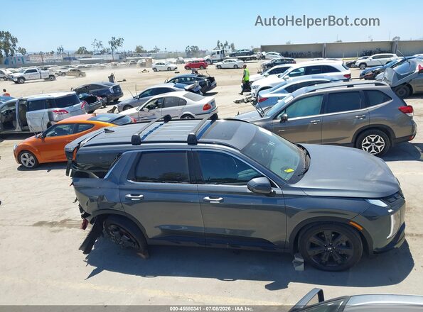 KM8R34GE2RU660386 2024 HYUNDAI PALISADE Gray Панорамний вид салону 360°