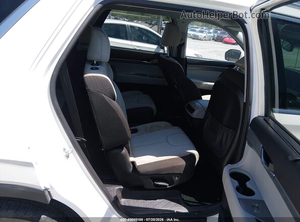 KM8R34HE1MU195803 2021 HYUNDAI PALISADE White Widok naklejki z numerem VIN