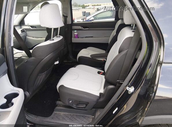 KM8R34HE4LU074827 2020 HYUNDAI PALISADE Black VIN sticker view