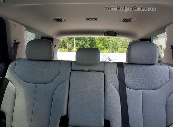 KM8R34HE6LU134445 2020 HYUNDAI PALISADE Угольный Вид задних сидений