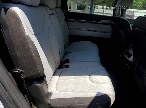 KM8R34HE6LU134445 2020 HYUNDAI PALISADE Угольный Вид задней части салона