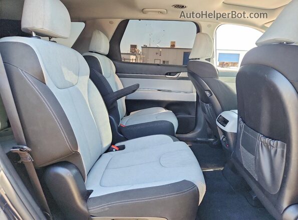 KM8R34HE7LU170712 2020 HYUNDAI PALISADE Black Vista de los asientos traseros