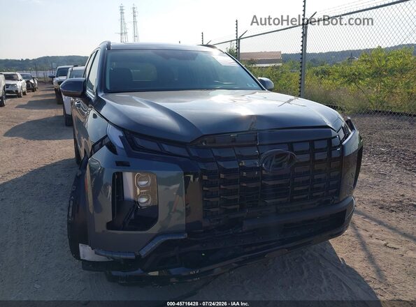 KM8R3DGE0RU783538 2024 HYUNDAI PALISADE Серый Вид сзади