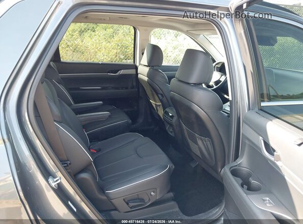KM8R3DGE0RU783538 2024 HYUNDAI PALISADE Серый Панорамный вид салона 360°
