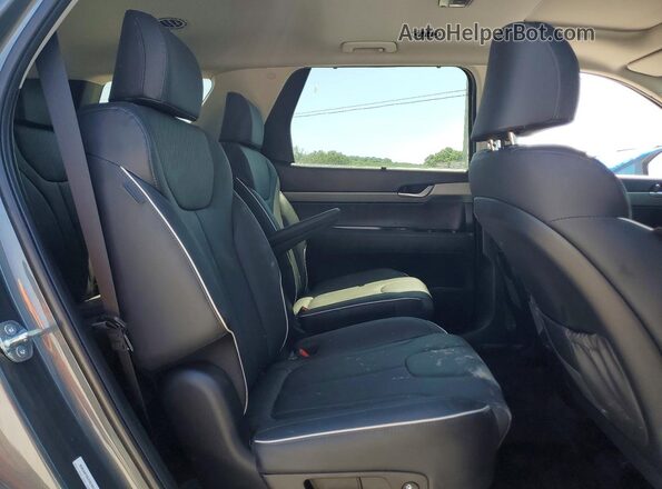 KM8R3DGE8SU893050 2025 HYUNDAI PALISADE Серый Вид задней части салона