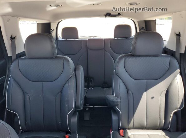 KM8R3DGE8SU893050 2025 HYUNDAI PALISADE Серый Вид задних сидений