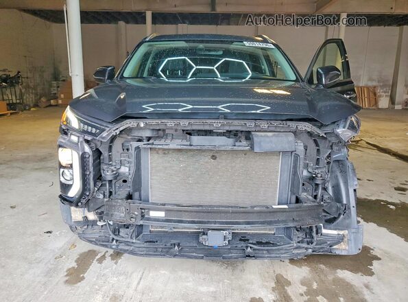 KM8R3DHE2LU048274 2020 HYUNDAI PALISADE Charcoal Դիմացի տեսք