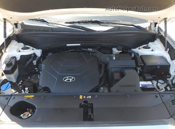 KM8R3DHE7LU096272 2020 HYUNDAI PALISADE White Вид підкапотного простору
