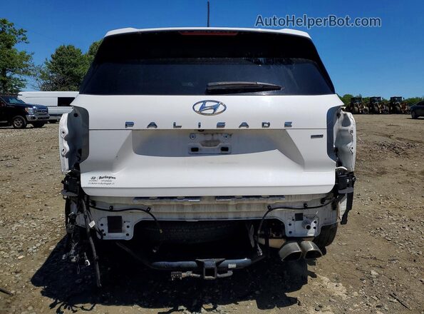 KM8R3DHE7LU096272 2020 HYUNDAI PALISADE White Вид ззаду