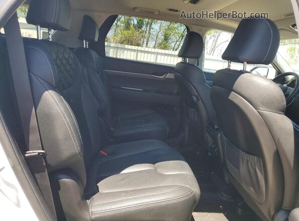 KM8R3DHE7LU096272 2020 HYUNDAI PALISADE White Вид задньої частини салону