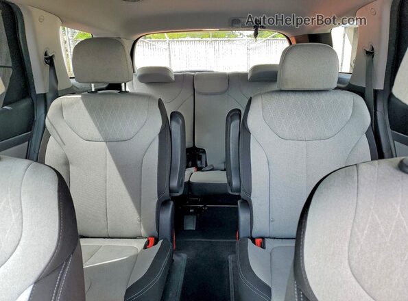KM8R3DHE9LU046943 2020 HYUNDAI PALISADE Серый Вид задних сидений