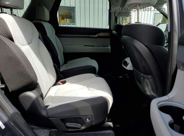 KM8R3DHE9LU046943 2020 HYUNDAI PALISADE Серый Вид задней части салона