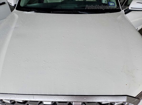 KM8R44HE4MU312674 2021 HYUNDAI PALISADE Белый Вид задней части салона
