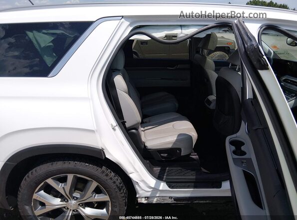 KM8R44HE6LU061350 2020 HYUNDAI PALISADE Белый Вид наклейки с VIN-кодом