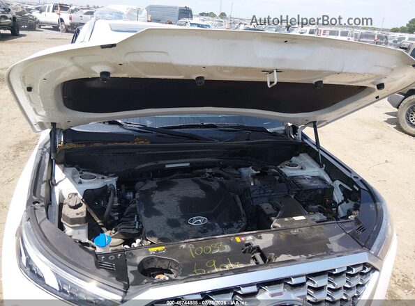 KM8R44HE6LU061350 2020 HYUNDAI PALISADE Белый Вид сзади