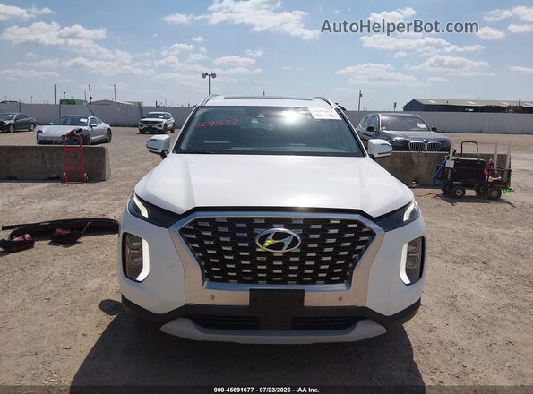 KM8R44HE7LU040202 2020 HYUNDAI PALISADE Белый Вид задней части салона