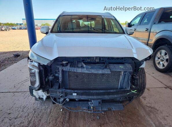 KM8R44HE7LU086368 2020 HYUNDAI PALISADE White Vista frontal