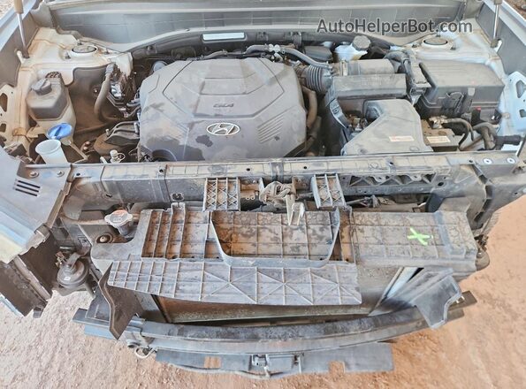 KM8R44HE7LU086368 2020 HYUNDAI PALISADE White Vista del compartimento del motor