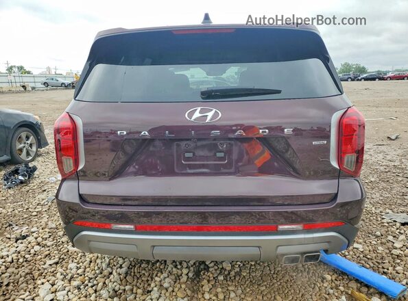 KM8R4DGE0PU632399 2023 HYUNDAI PALISADE Purple Widok z tyłu