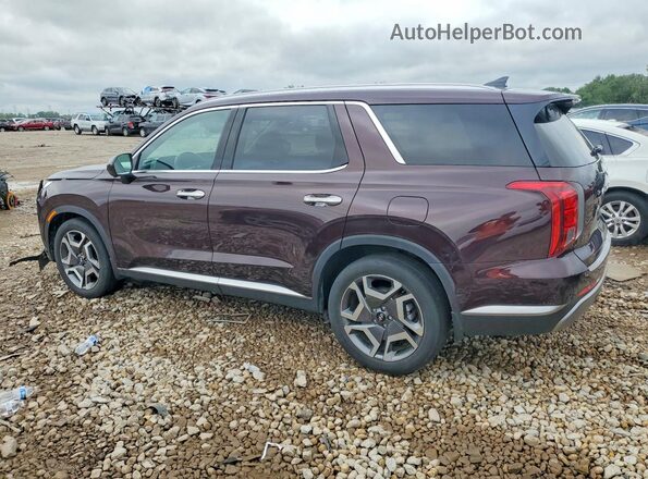 KM8R4DGE0PU632399 2023 HYUNDAI PALISADE Purple Tył lewy