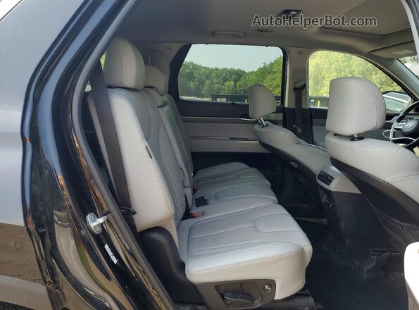 KM8R4DGE6PU637087 2023 HYUNDAI PALISADE Черный Вид задней части салона