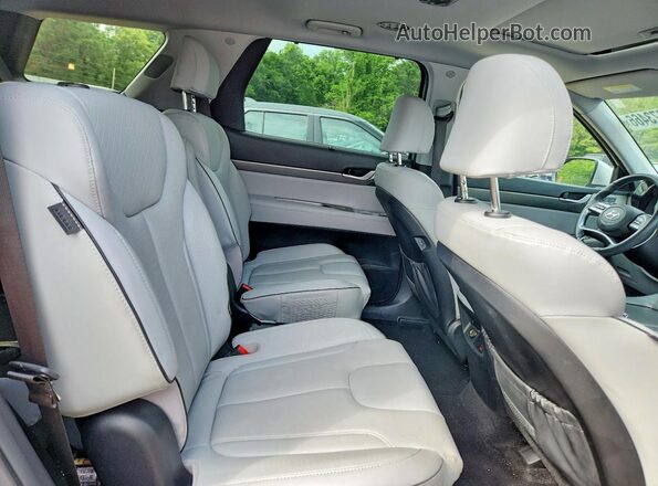 KM8R4DGE7RU782318 2024 HYUNDAI PALISADE Серебряный Вид задней части салона