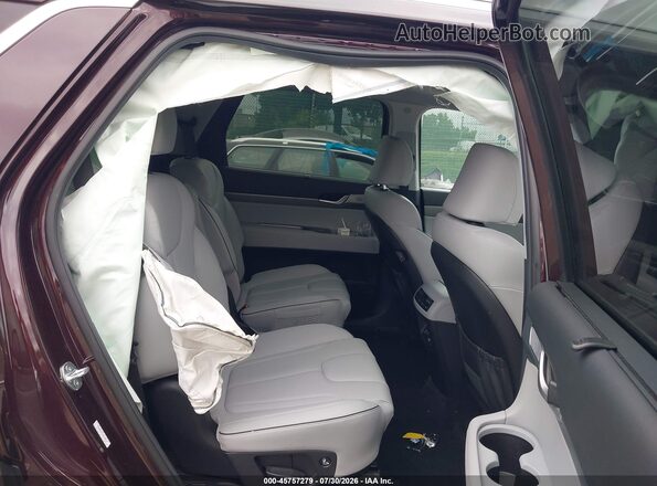 KM8R4DGEXRU688661 2024 HYUNDAI PALISADE Maroon Vista de la etiqueta del VIN