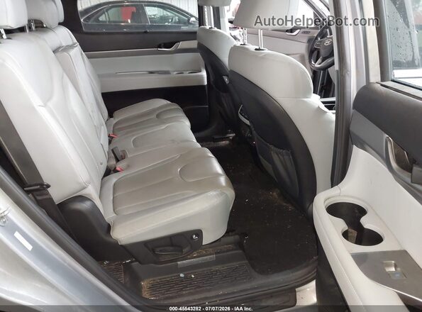 KM8R4DHE1LU163428 2020 HYUNDAI PALISADE Gray Widok naklejki z numerem VIN