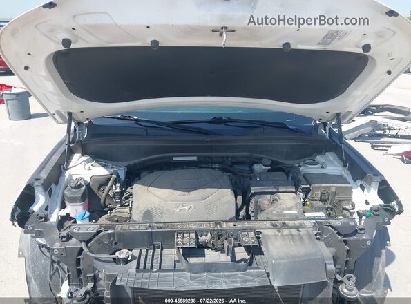 KM8R4DHE4MU315414 2021 HYUNDAI PALISADE White Widok z tyłu