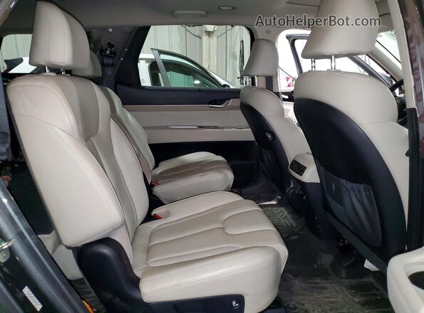 KM8R4DHE6MU299491 2021 HYUNDAI PALISADE Угольный Вид задней части салона