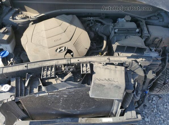 KM8R4DHE8LU054867 2020 HYUNDAI PALISADE Black Սալոնի հետևի տեսք