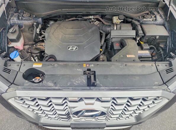 KM8R4DHE9MU318454 2021 HYUNDAI PALISADE Blue ძრავის განყოფილების ხედი
