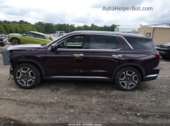 KM8R54GE6PU490198 2023 HYUNDAI PALISADE Коричневый Панорамный вид салона 360°