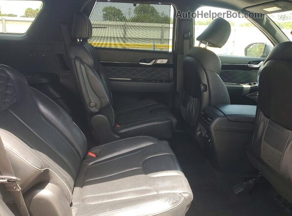 KM8R54HEXLU133051 2020 HYUNDAI PALISADE Gray Вид задньої частини салону