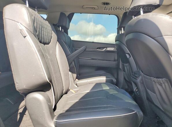 KM8R5DGE0RU726878 2024 HYUNDAI PALISADE Серебряный Вид задней части салона