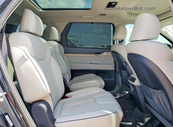 KM8R5DGE4PU618356 2023 HYUNDAI PALISADE Black Вид задньої частини салону