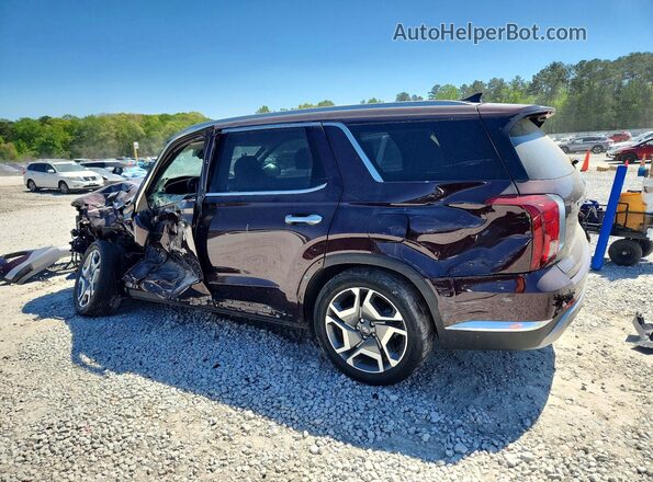 KM8R5DGE5PU584833 2023 HYUNDAI PALISADE Burgundy Задня ліва чверть