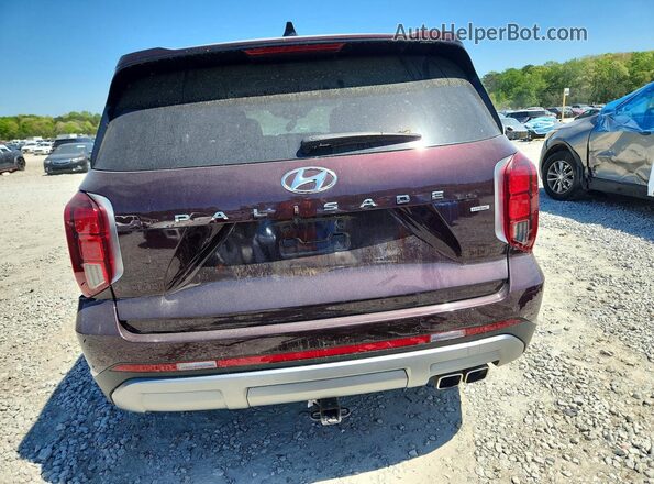 KM8R5DGE5PU584833 2023 HYUNDAI PALISADE Burgundy Вид ззаду