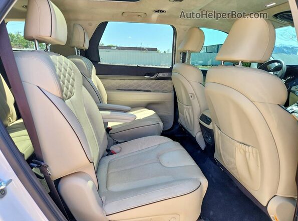 KM8R5DHE0LU084796 2020 HYUNDAI PALISADE White Widok wnętrza z tyłu
