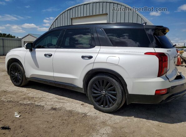 KM8R5DHE0LU108546 2020 HYUNDAI PALISADE White Trasero izquierdo