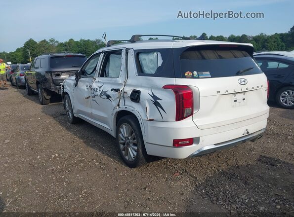 KM8R5DHE0LU134273 2020 HYUNDAI PALISADE White Rear left