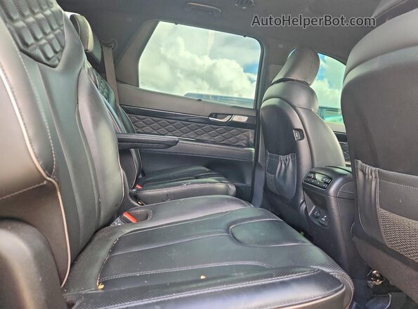 KM8R5DHE0LU165961 2020 HYUNDAI PALISADE Black Vista interior trasera