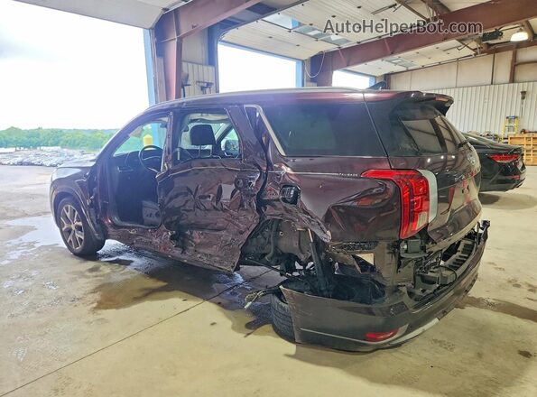 KM8R5DHE0MU196614 2021 HYUNDAI PALISADE Purple უკანა მარცხენა