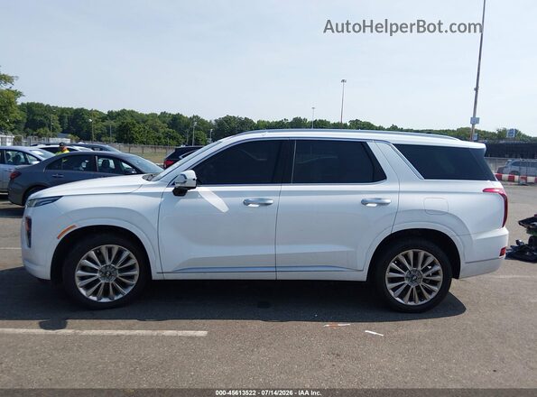 KM8R5DHE1LU103324 2020 HYUNDAI PALISADE White Панорамний вид салону 360°