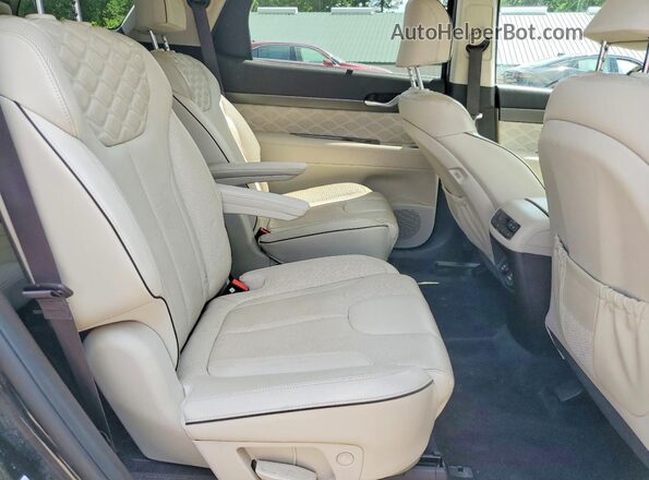 KM8R5DHE1LU129597 2020 HYUNDAI PALISADE Black Widok wnętrza z tyłu