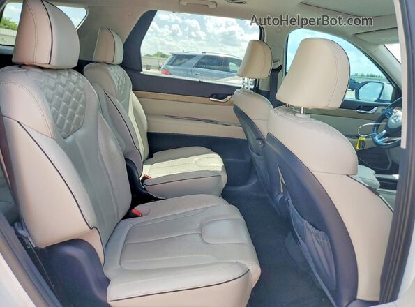 KM8R5DHE1MU199098 2021 HYUNDAI PALISADE White Vista interior trasera