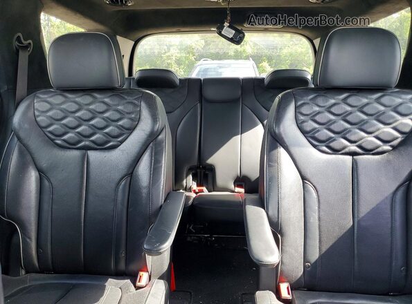 KM8R5DHE2LU077090 2020 HYUNDAI PALISADE Silver Rear seats view
