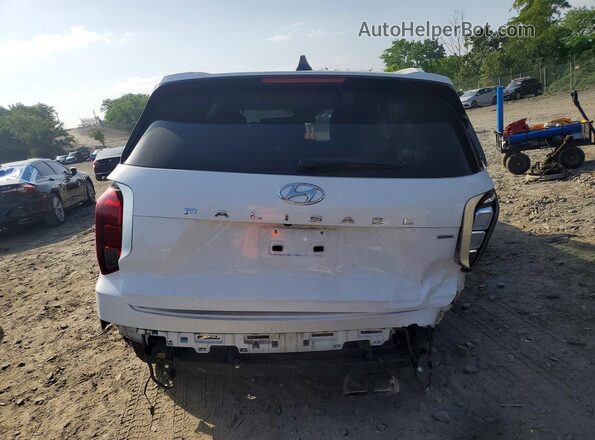 KM8R5DHE2LU120892 2020 HYUNDAI ACCENT White Вид ззаду